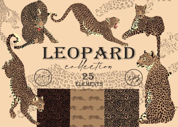 Download Leopard Clipart. Tropic Print. Patterns - Patterns Collection