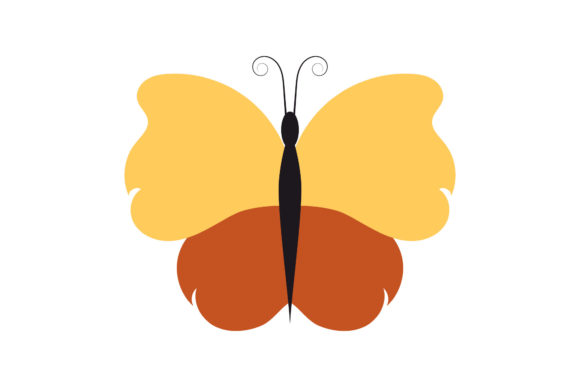 Download Butterfly Tropical Pretty Design - Tropic Collection