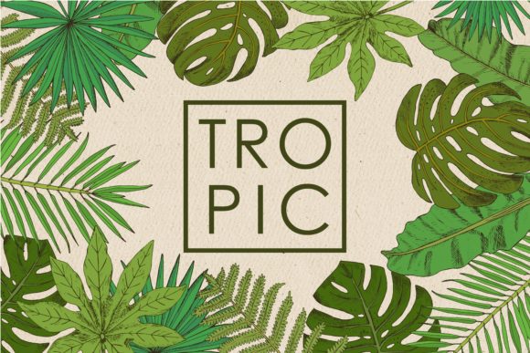 Download Tropic. Palm Collection - Tropic Collection